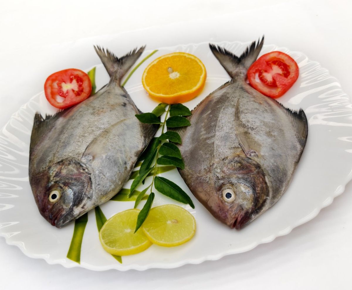 Black Pomfret (Karuppu Vavval/Halwa Fish)