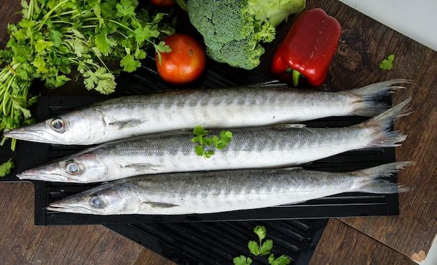 Barracuda & Yellow Barracuda (Sheela/Ooli)